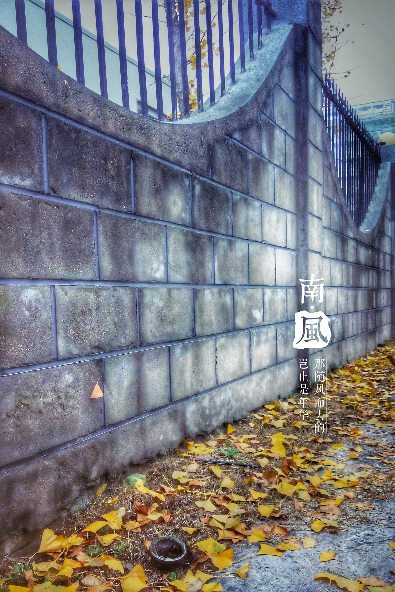 南风|摄影|静物|dreanfiy - 原创作品 - 站酷 (zcool)