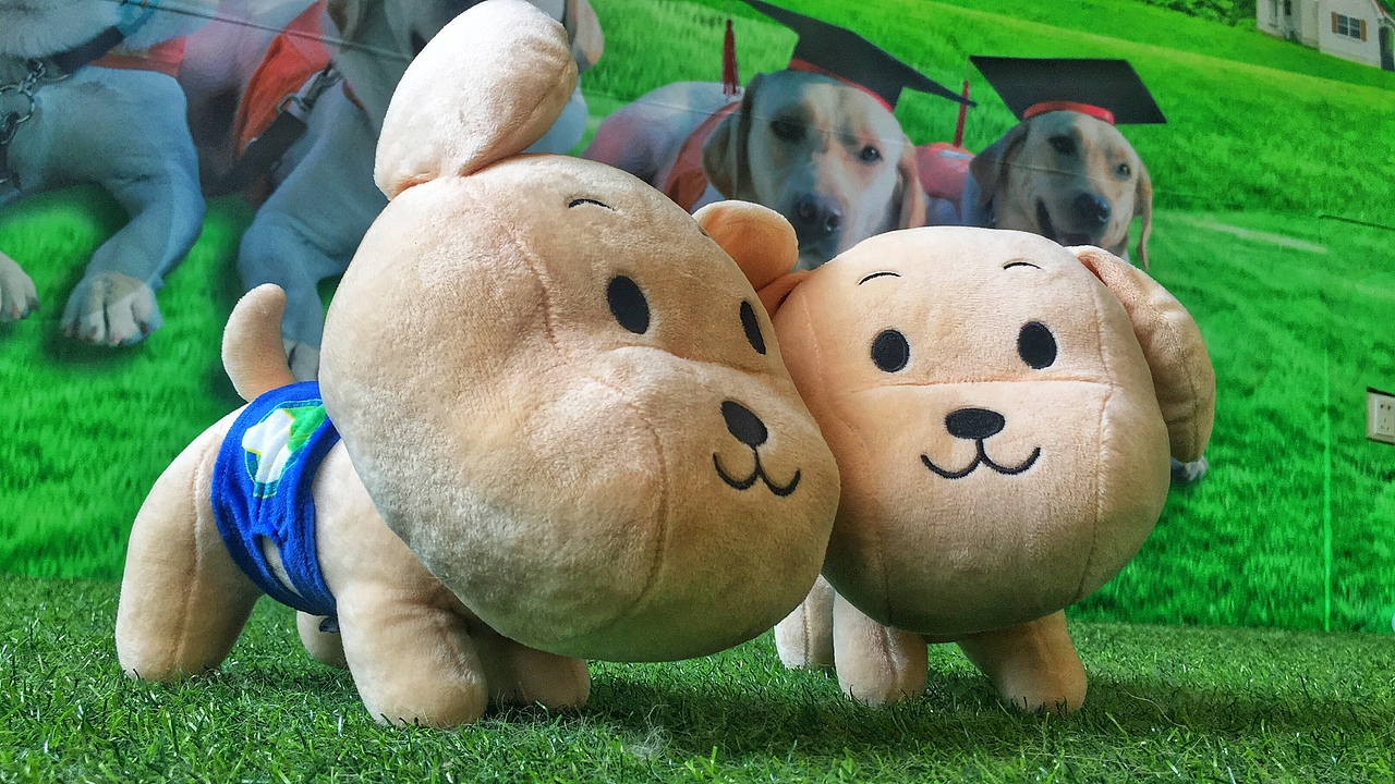 导盲犬周边义卖礼品——毛公仔