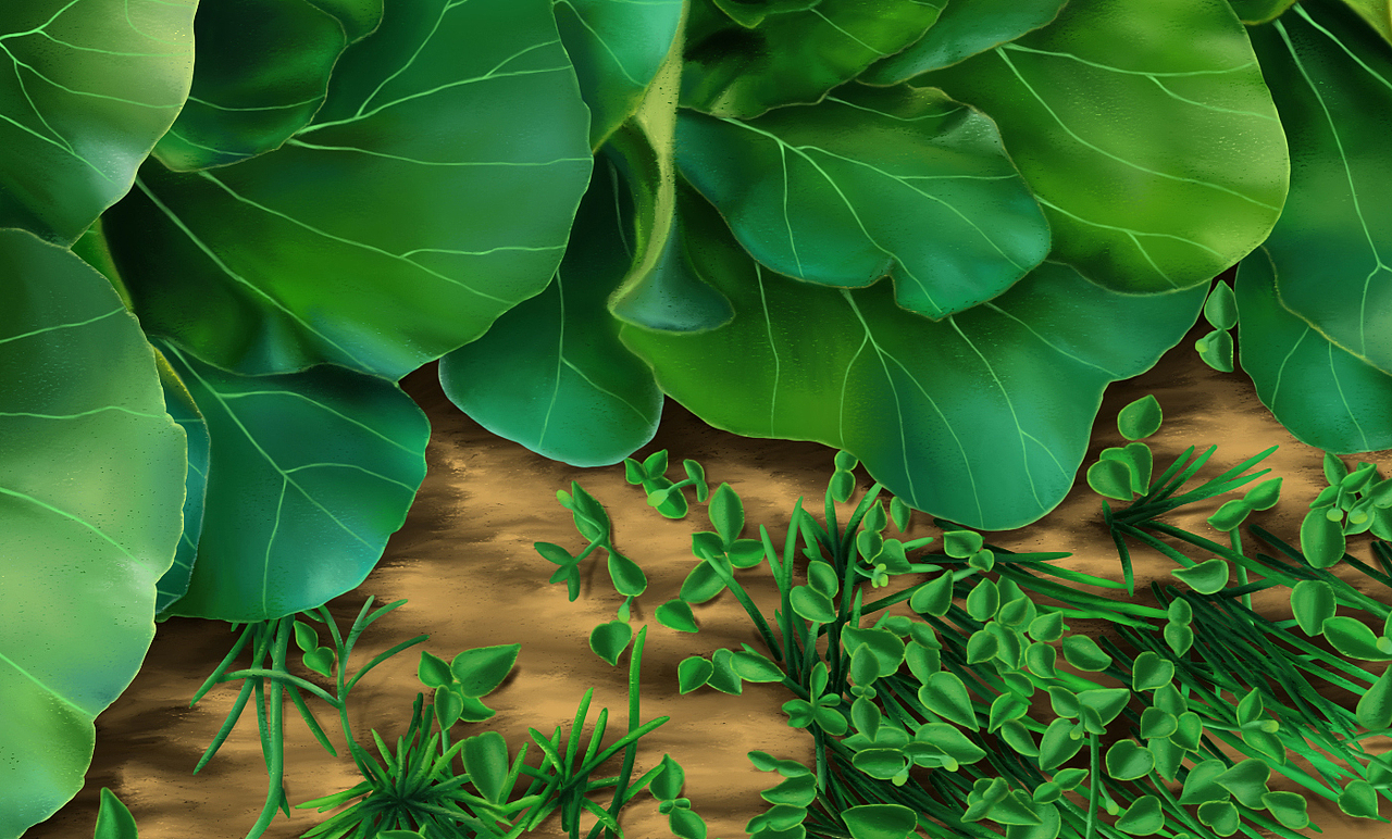 岁月静好——晚霞下的16棵菜（图ZMjY4NDAwNDcy） - 商业插画 - 站酷设计师言寸原创素材 - 站酷ZCOOL