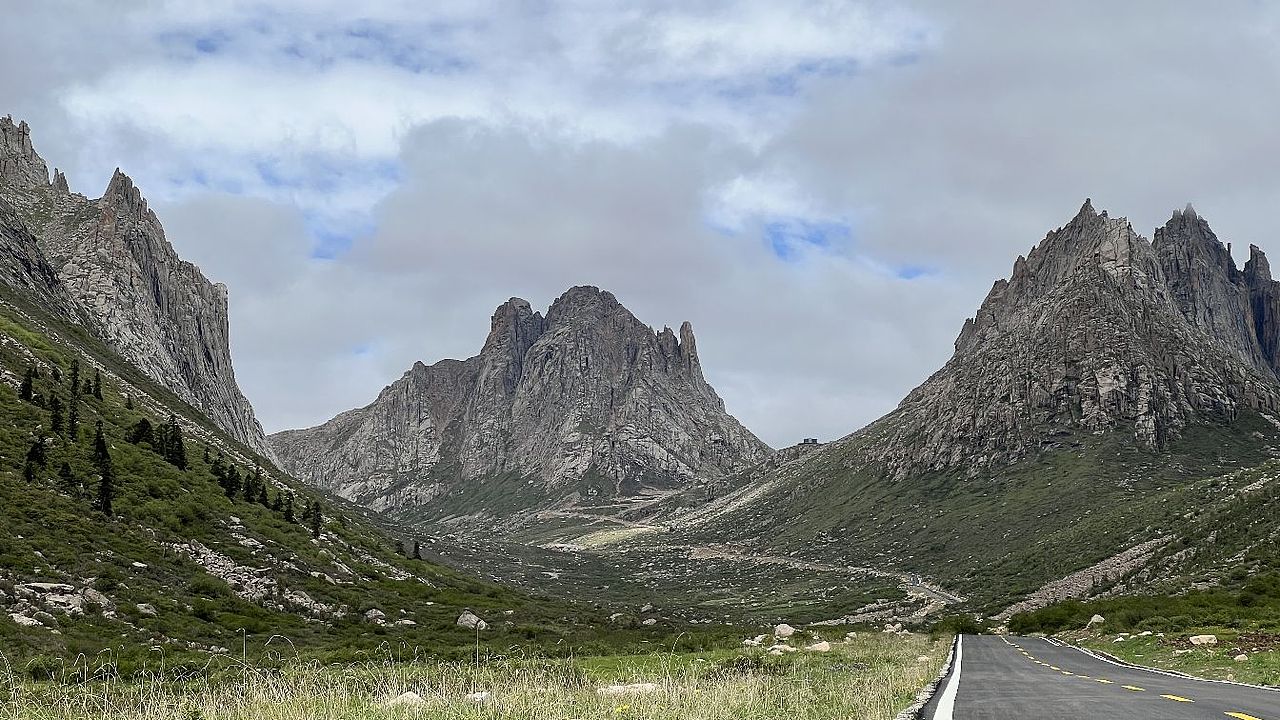 阿坝县20230629天神后花园--莲宝叶则