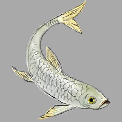 青鱼（图ZMTE0MzQzODc2） - 游戏UI - 站酷设计师Saveyouth原创素材 - 站酷ZCOOL