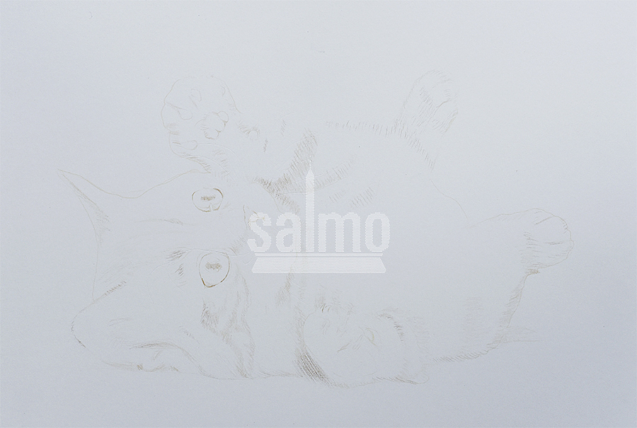 喵~（图ZNjMyNjU4NjQ=） - 绘画 - 站酷设计师xuanye1836原创素材 - 站酷ZCOOL