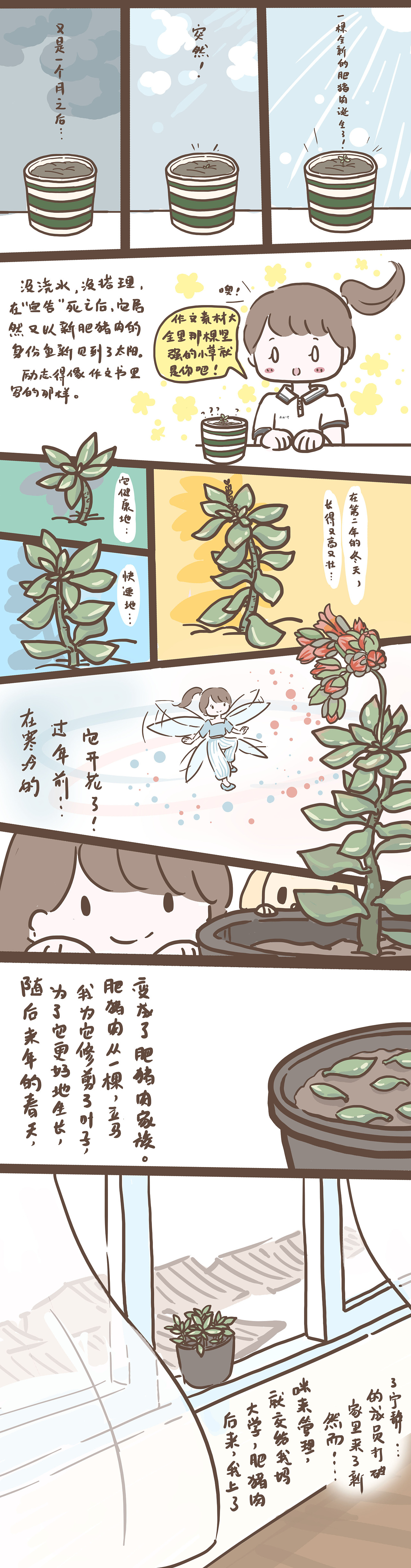 小缘子日常漫画之我家肥猪肉