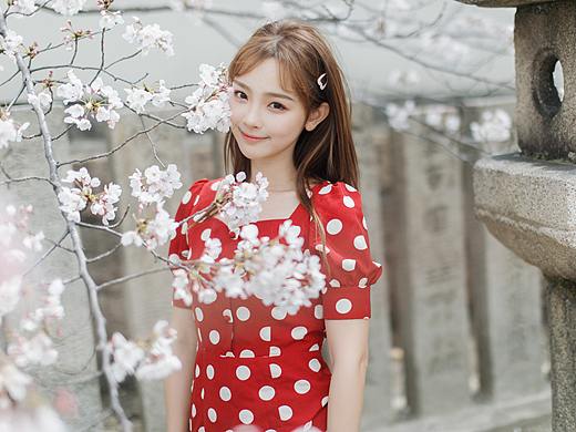 樱花树下