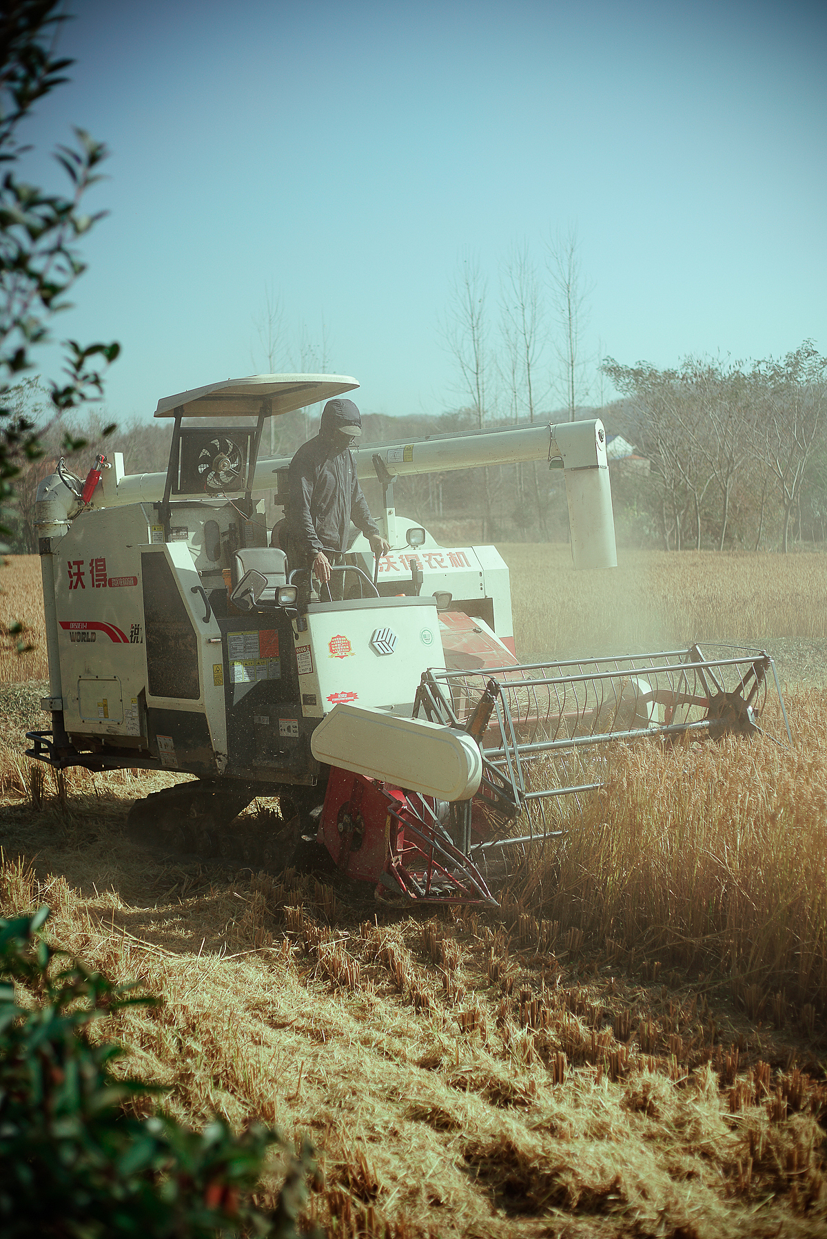 周二是个好日子