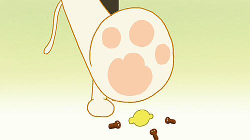 【貓尾草工作室】《動(dòng)畫關(guān)鍵詞》片段（圖ZNDQ2MTAwMzI=） - 動(dòng)畫片 - 站酷設(shè)計(jì)師貓尾草工作室原創(chuàng)素材 - 站酷ZCOOL