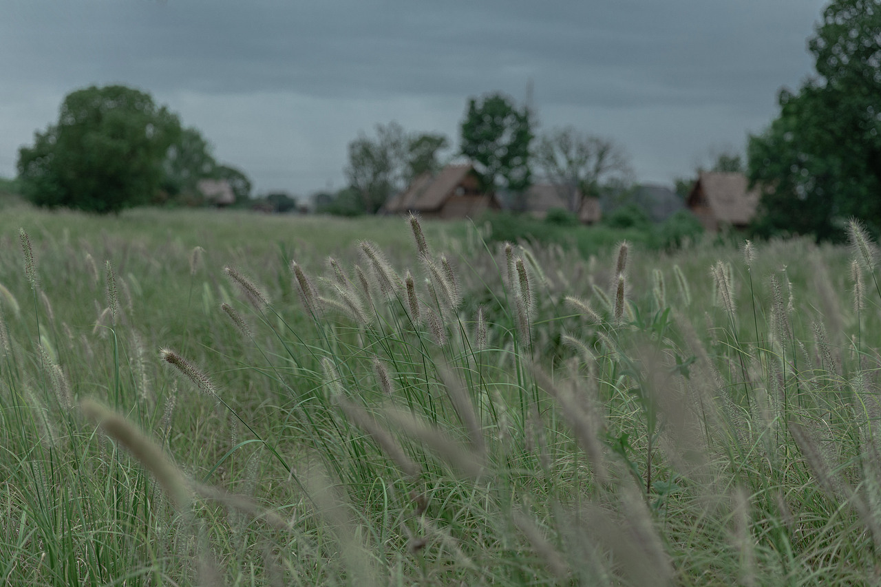 杭州·良渚·初秋