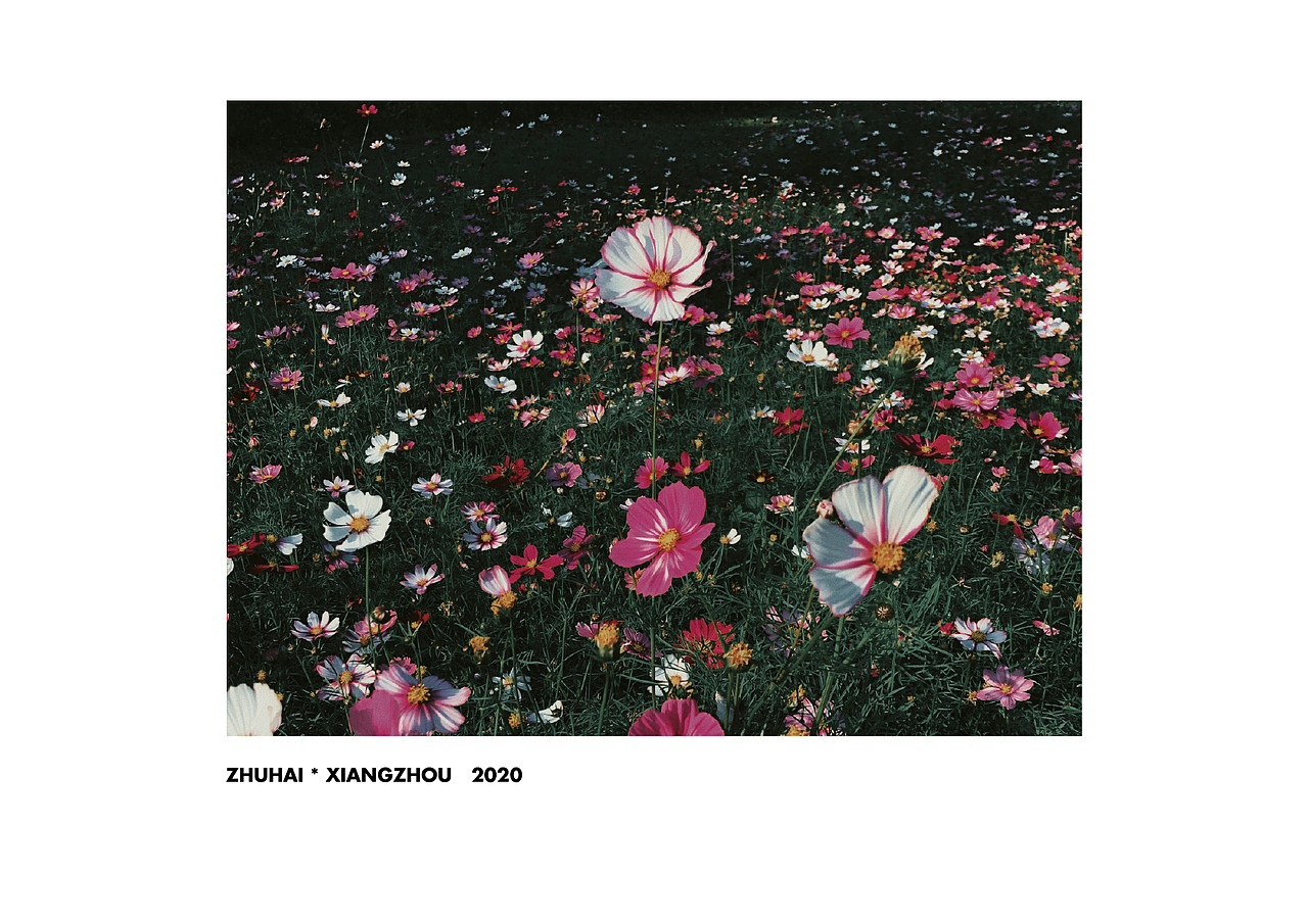 来自2020的手机摄影总结（图ZMjM4OTIzODMy） - 人文/纪实摄影 - 站酷设计师霖马桶原创素材 - 站酷ZCOOL