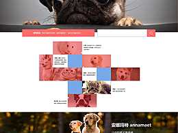 宠物网页设计
