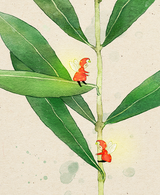 植物精灵|插画|创作习作|jojo绘画世界 - 原创作品 - 站酷 (zcool)