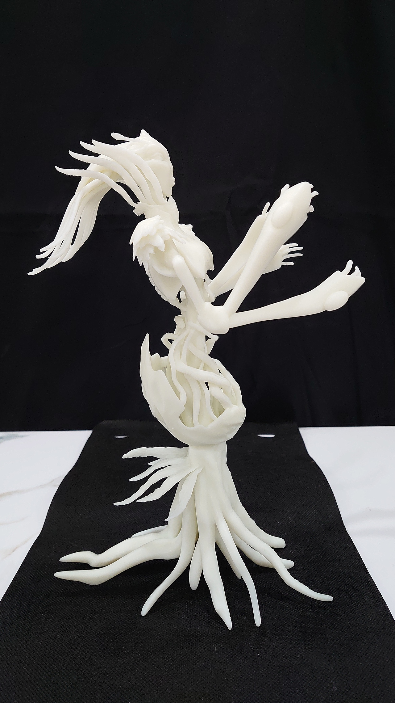 变形金刚 野兽战争 猛兽侠角色 botanica 树神