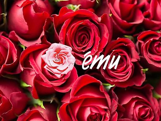 品牌故事及其他