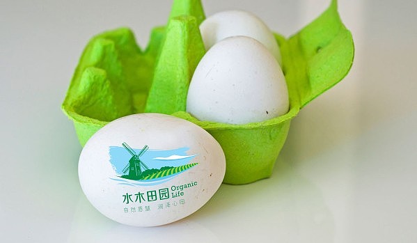 水木田园 有机蔬菜 VI设计