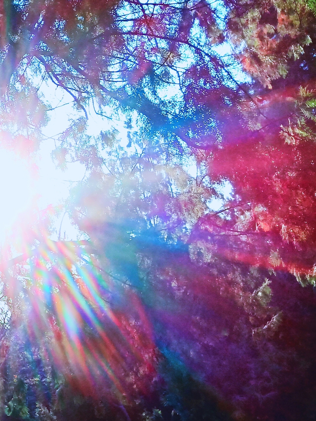 紫气东来(光影)