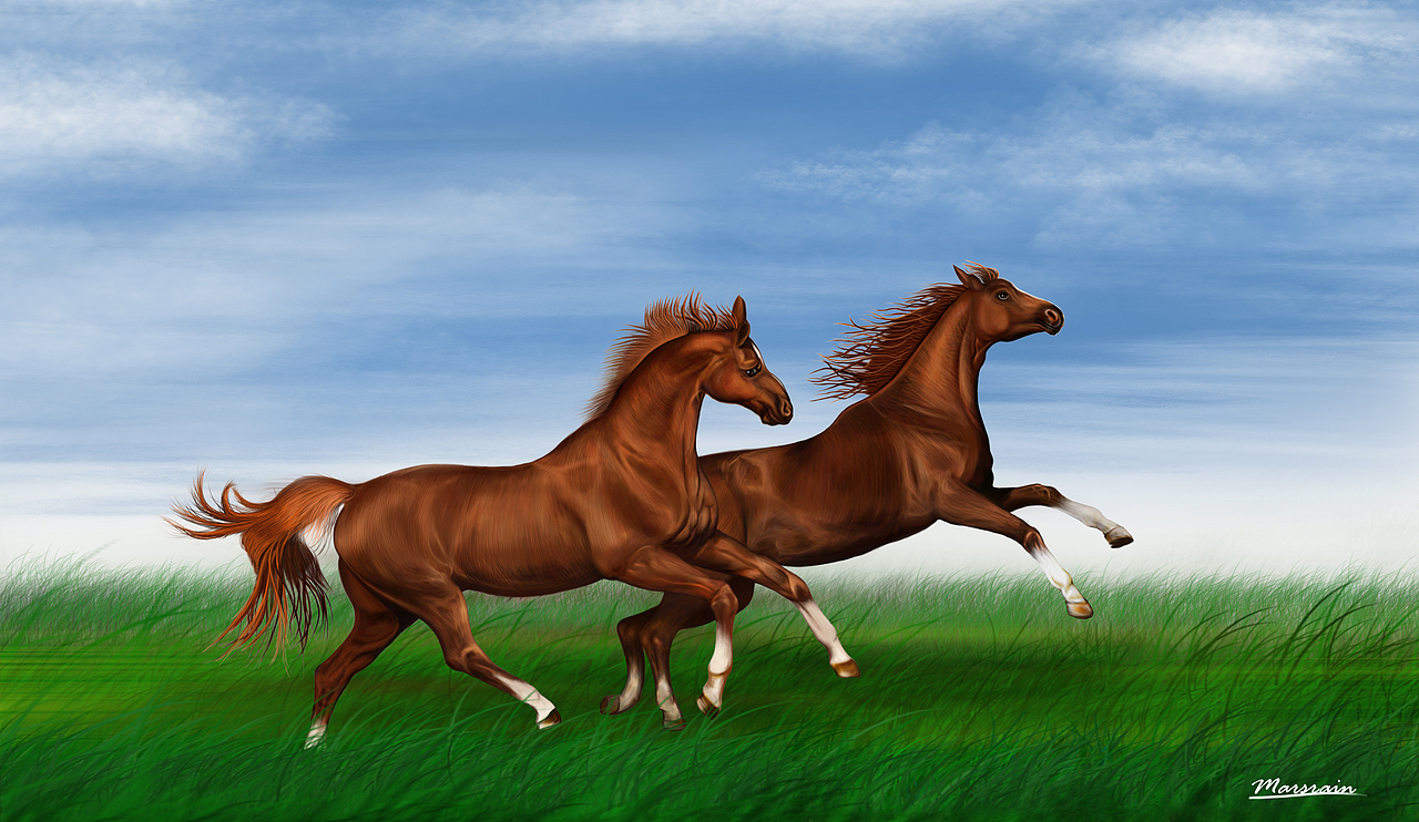 萨摩写实动物人物丙烯狮子水彩猫头鹰山水临摹眼睛合集