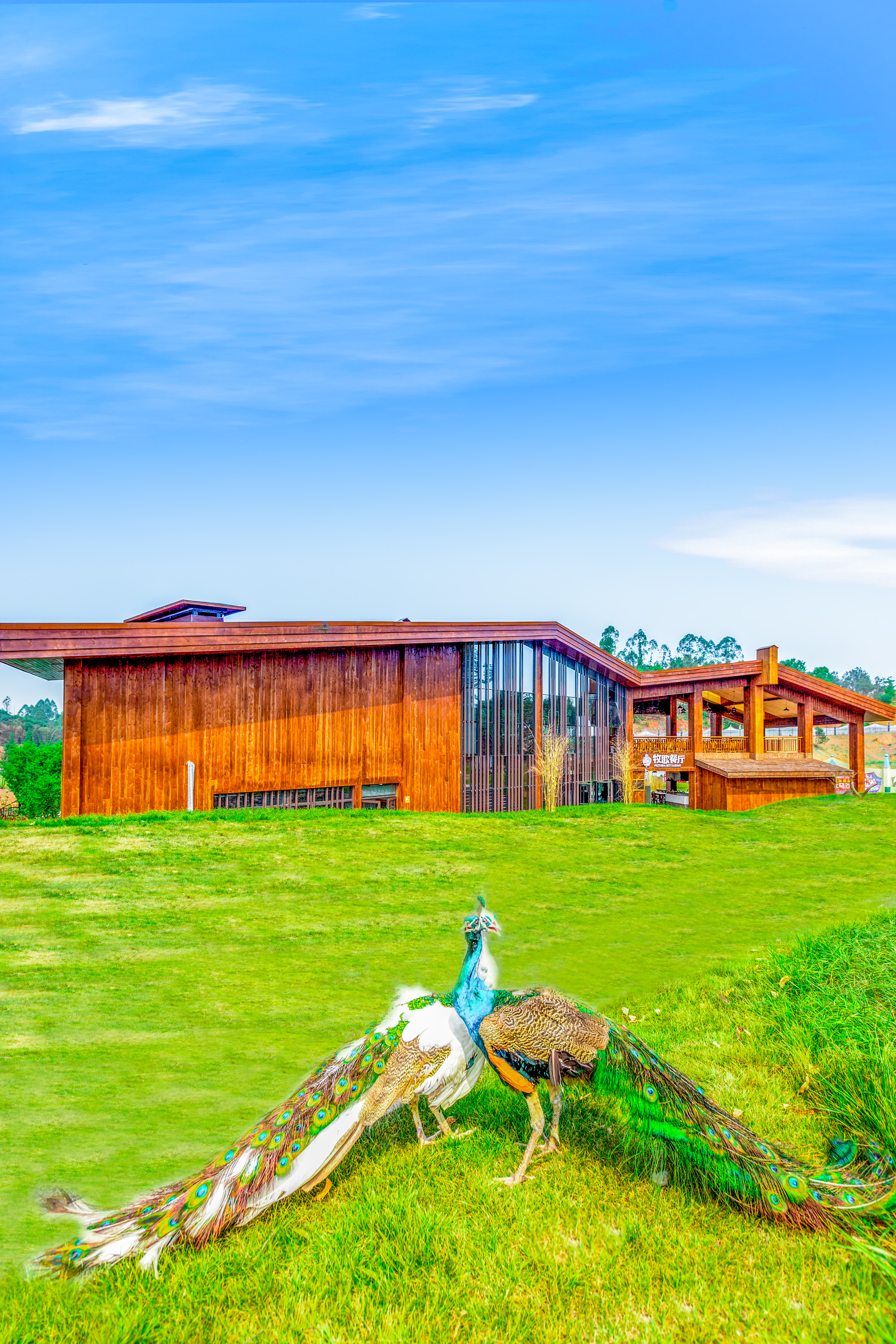 黄龙溪欢乐田园|摄影|风光|疯狂mt - 原创作品 - 站酷 (zcool)