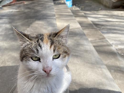 生活小照（個人主頁-ZNTI5NjgxNTY=） - 人文/紀實攝影 - 站酷設(shè)計師蘑菇mm原創(chuàng)素材 - 站酷ZCOOL