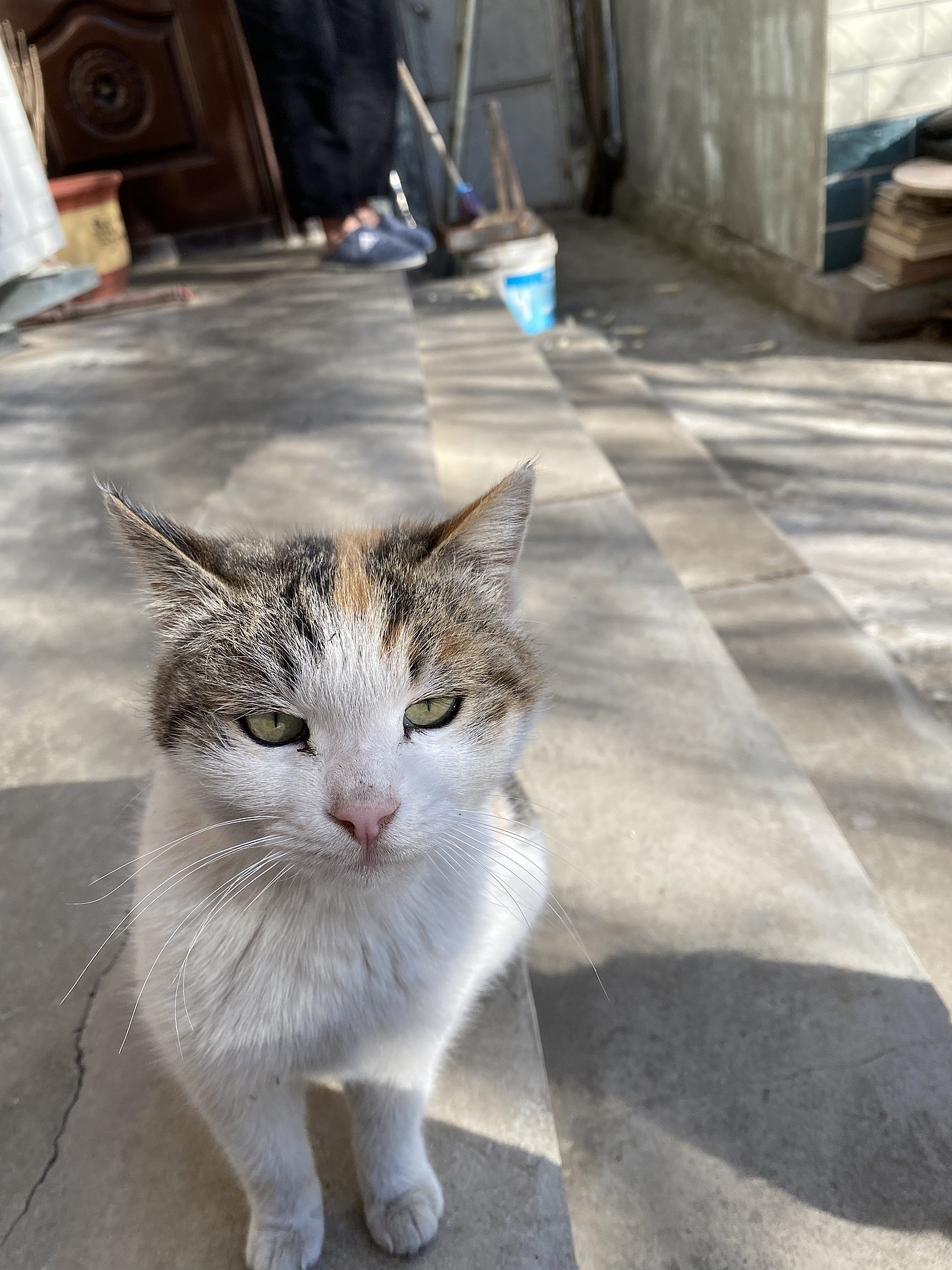 生活小照（圖ZMjU2NTc5MTMy） - 人文/紀(jì)實(shí)攝影 - 站酷設(shè)計(jì)師蘑菇mm原創(chuàng)素材 - 站酷ZCOOL