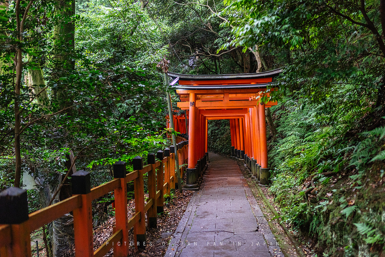 独自一人初涉日本，为期12天的自由行——京都篇（1）（图ZMTE5NzEwNzg4） - 风光摄影 - 站酷设计师断木成林原创素材 - 站酷ZCOOL