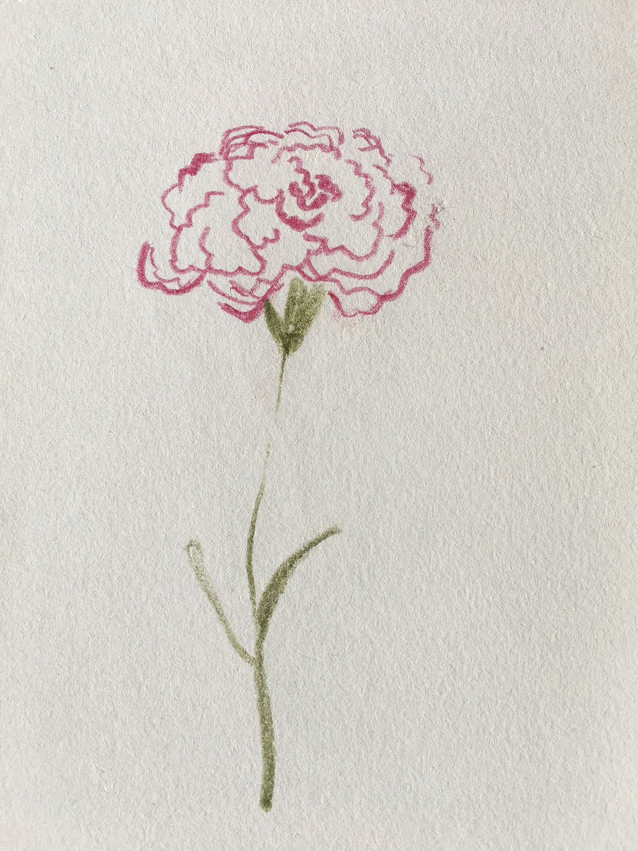 零基础瞎画画｜6月临摹记录