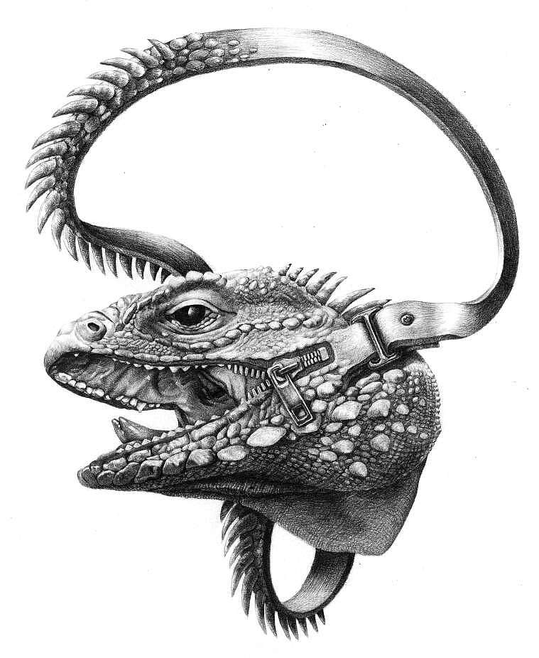 铅笔素描画-超现实动物素描画和古老植物装饰画