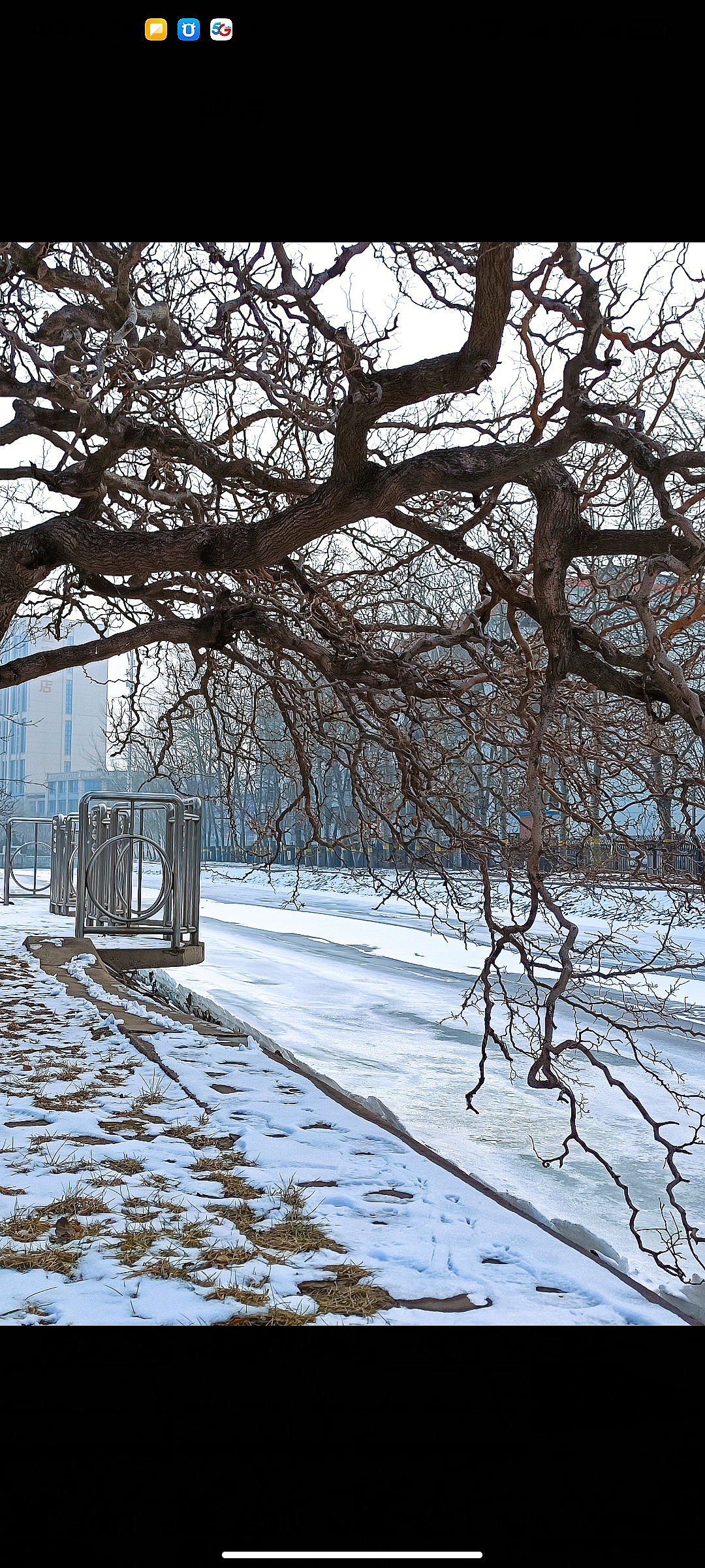 冰雪 树枝（图ZMjg2MzYwNjc2） - 风光摄影 - 站酷设计师设计师一大秦原创素材 - 站酷ZCOOL