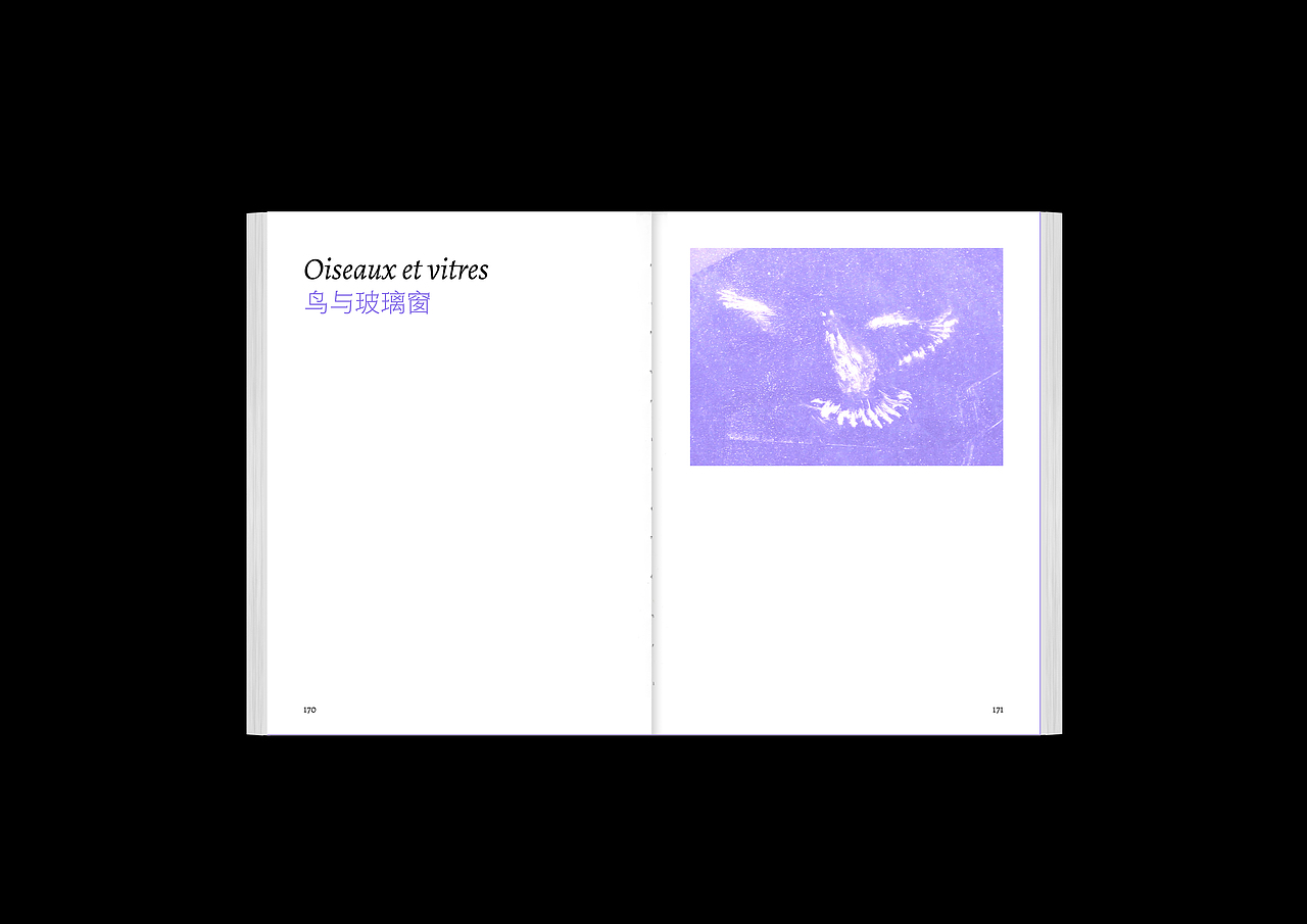 毕业创作-死鸟（图ZMjMyOTg0NzMy） - 书籍/画册 - 站酷设计师裸马原创素材 - 站酷ZCOOL