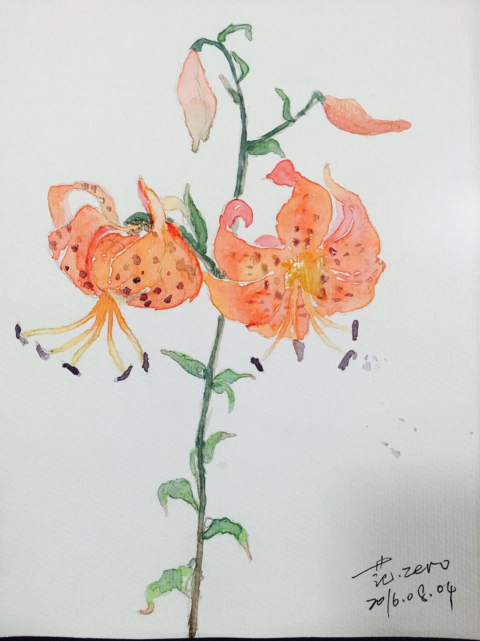 水粉和水彩之插画练习