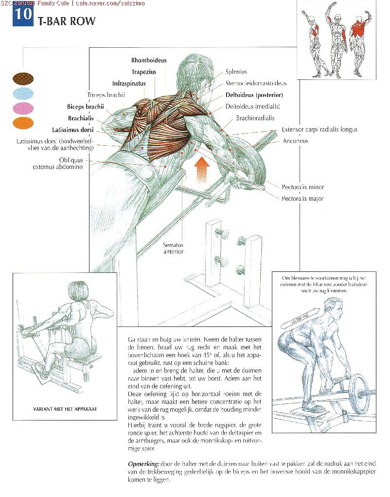 人体运动与肌肉关系-手绘稿