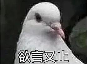占坑占坑