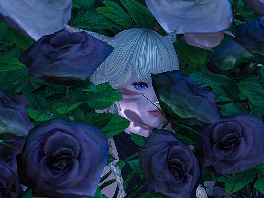 Knock on your heart-FFXIV（个人主页-ZNTIxNzU5MTY=） - 其他 - 站酷设计师是酸菜呀原创素材 - 站酷ZCOOL