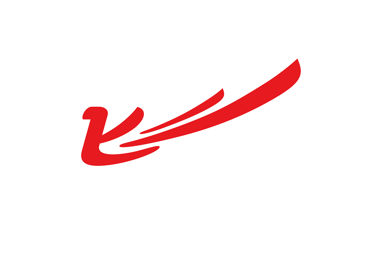 提炼一个“飞”字,传达本运动的特点。