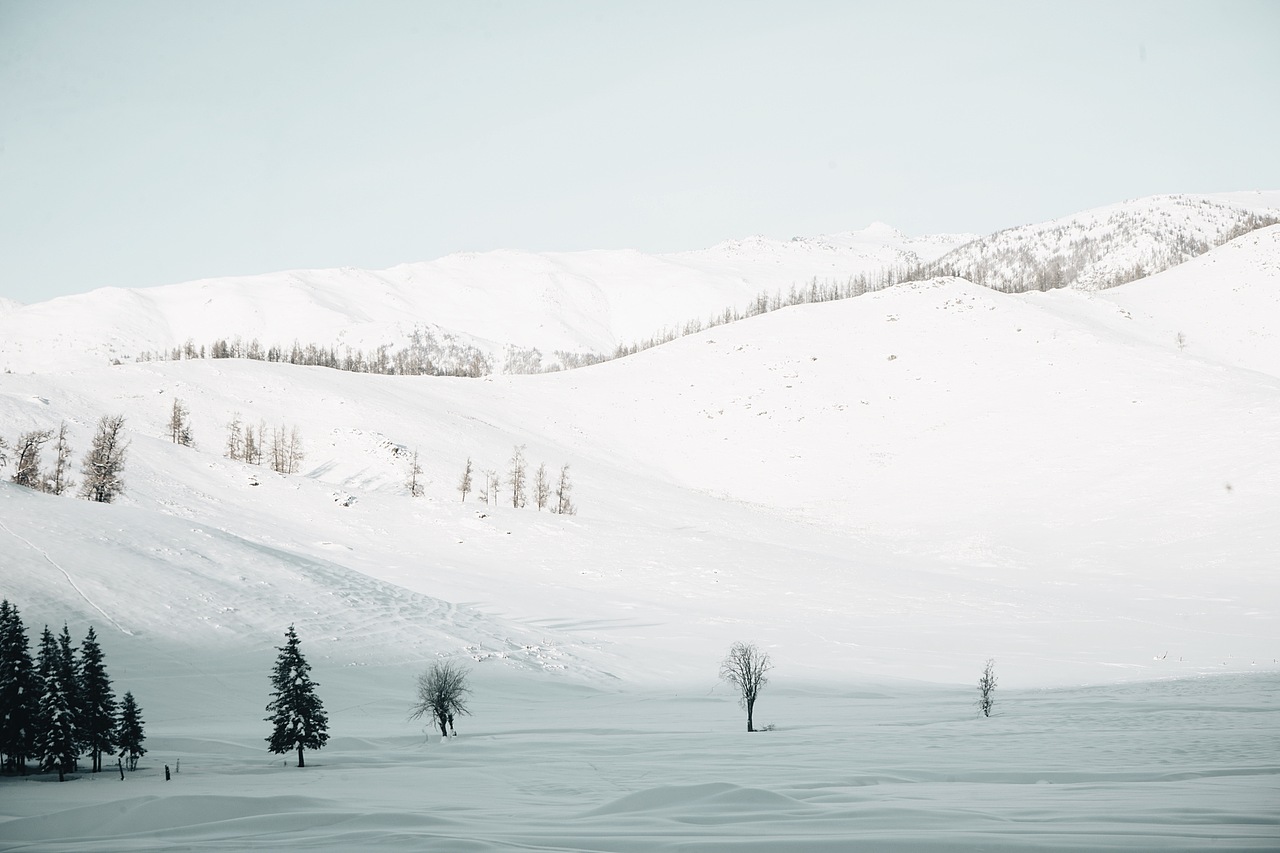 国境之北-新疆喀纳斯