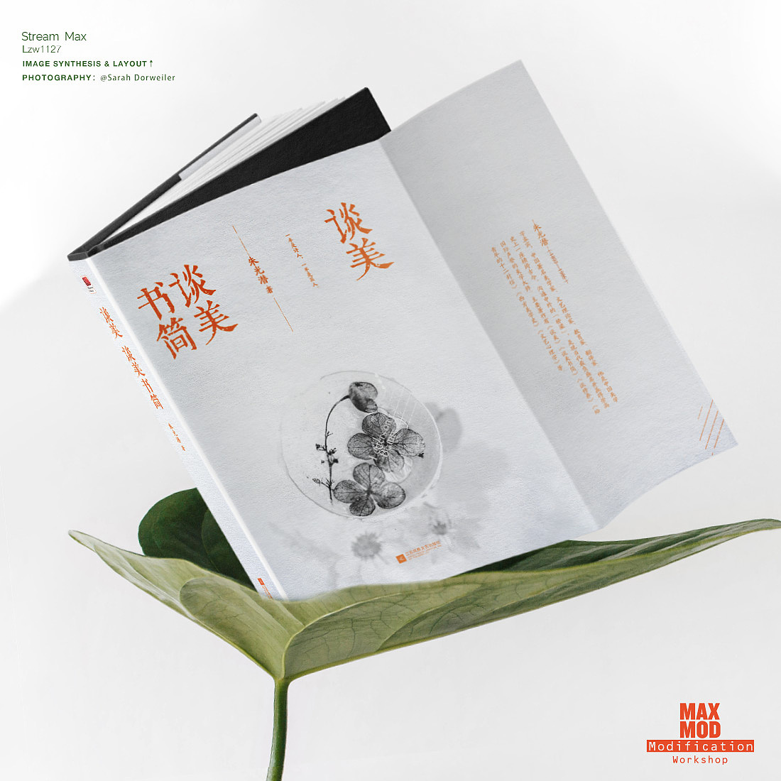 100张氛围图练习计划 - 6