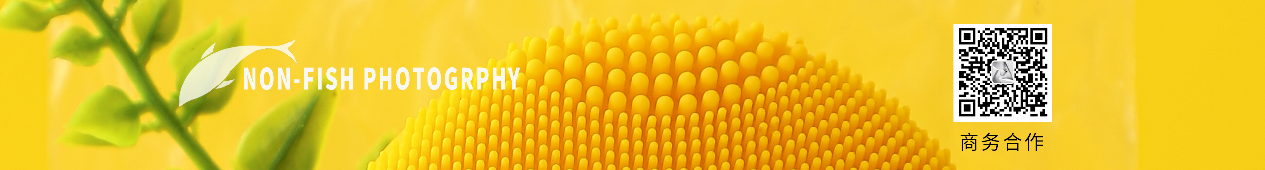 子非魚視覺的個人主頁（封面預(yù)覽） - 主頁封面設(shè)置 - 站酷設(shè)計師子非魚視覺原創(chuàng)素材 - 站酷ZCOOL