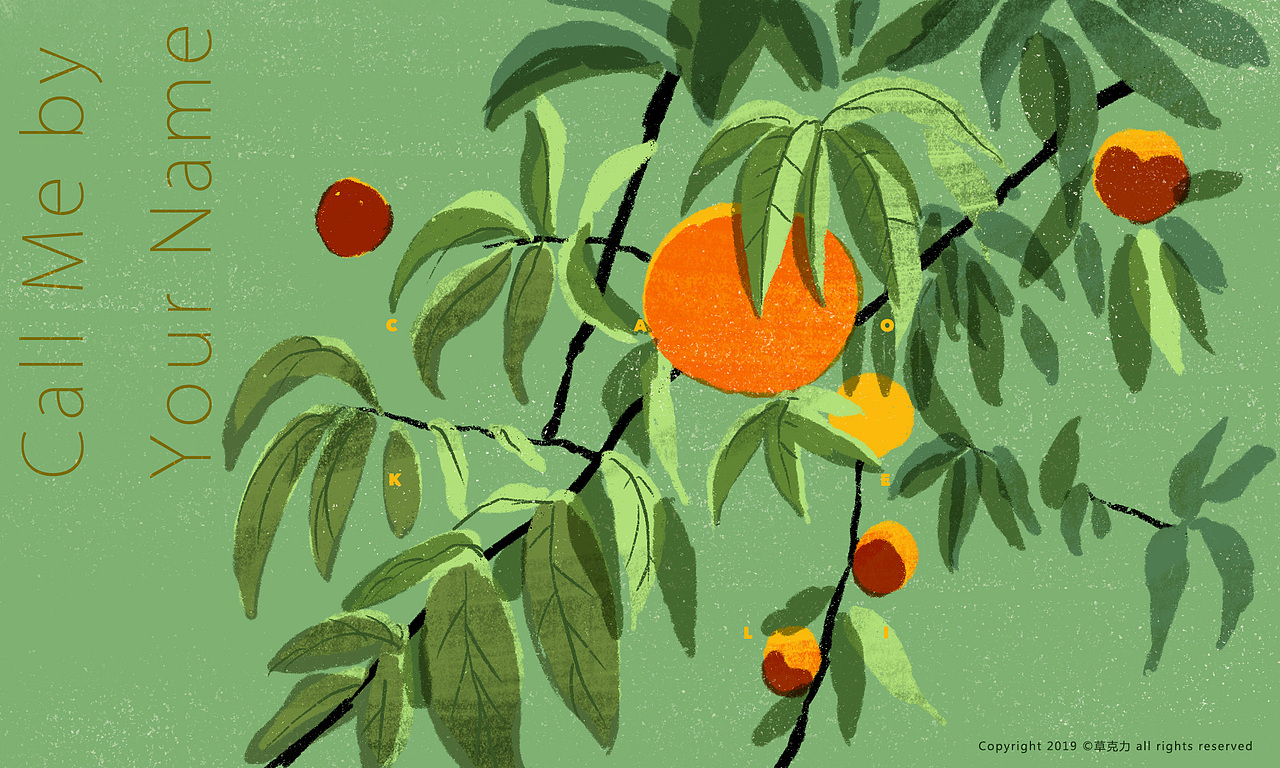 2019日常画作（图ZMTkxMjIwNzk2） - 商业插画 - 站酷设计师草克力caokeli原创素材 - 站酷ZCOOL