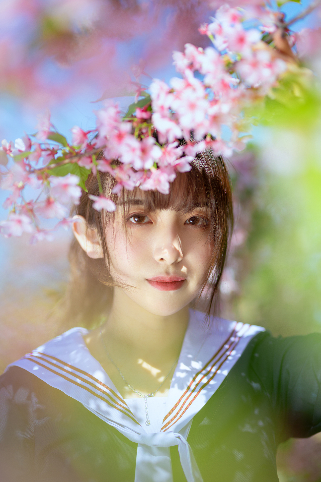 樱花少女（图ZMTU5NTY4MDc2） - 人像摄影 - 站酷设计师宝藏摄影JY原创素材 - 站酷ZCOOL