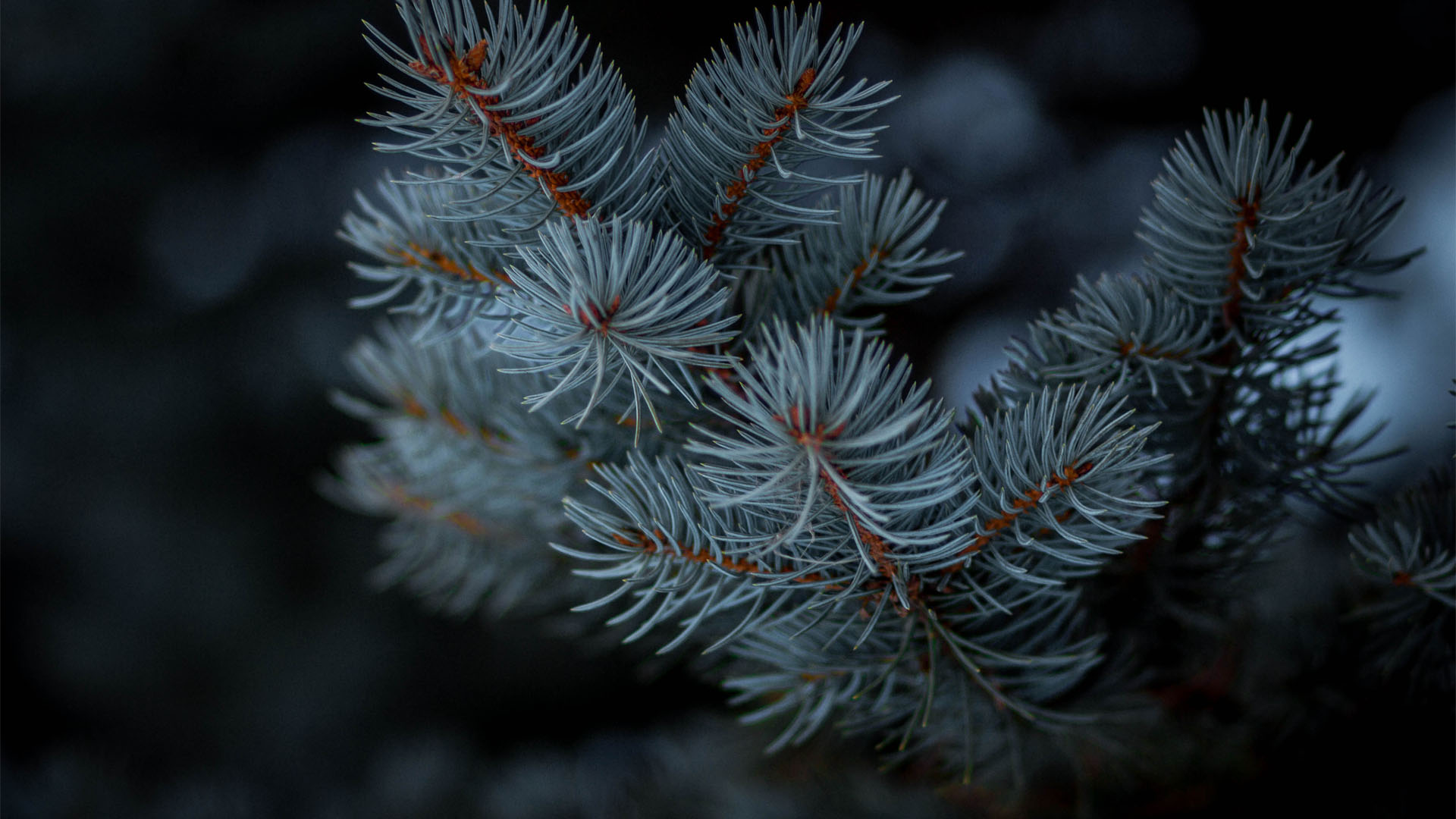 呀嘞呀嘞的个人主页（背景预览） - 主页背景设置 - 站酷设计师呀嘞呀嘞原创素材 - 站酷ZCOOL