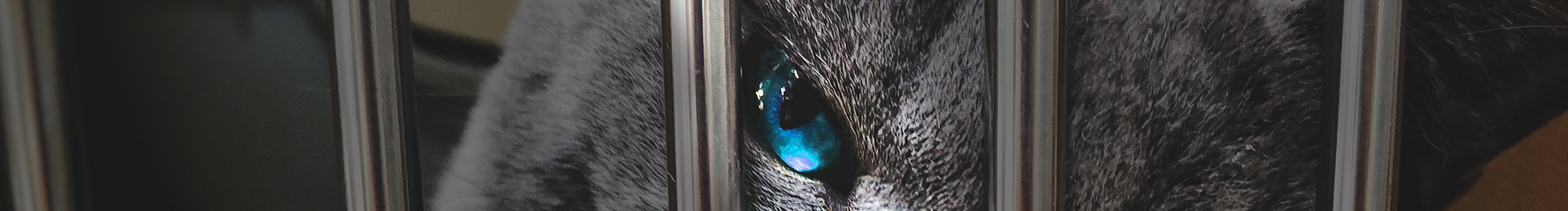 XJames的个人主页（封面预览） - 主页封面设置 - 站酷设计师XJames原创素材 - 站酷ZCOOL