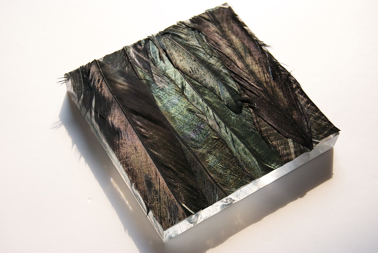 实验材料:绿头鸭毛 鸭毛羽纤维坚硬,纹理光泽呈现一种青绿色。在触感上有一种油脂的光滑感,进过熨烫之后的羽毛排列整齐颜色讨巧,有一种别样的美感。