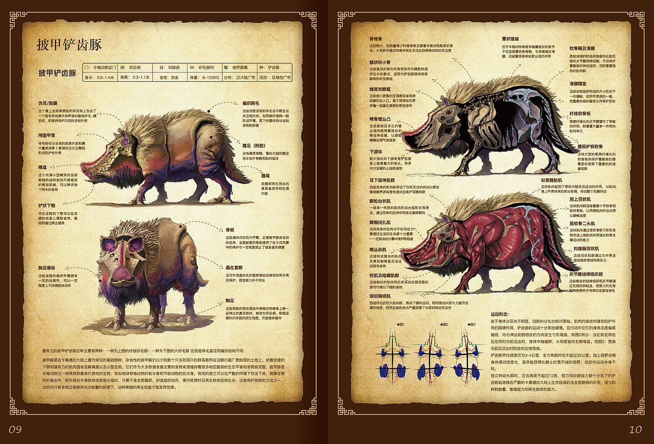 卡桑德拉生物志