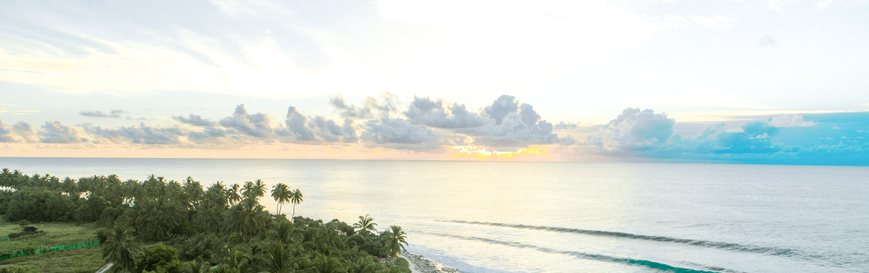野生精英怪的个人主页（封面预览） - 主页封面设置 - 站酷设计师野生精英怪原创素材 - 站酷ZCOOL