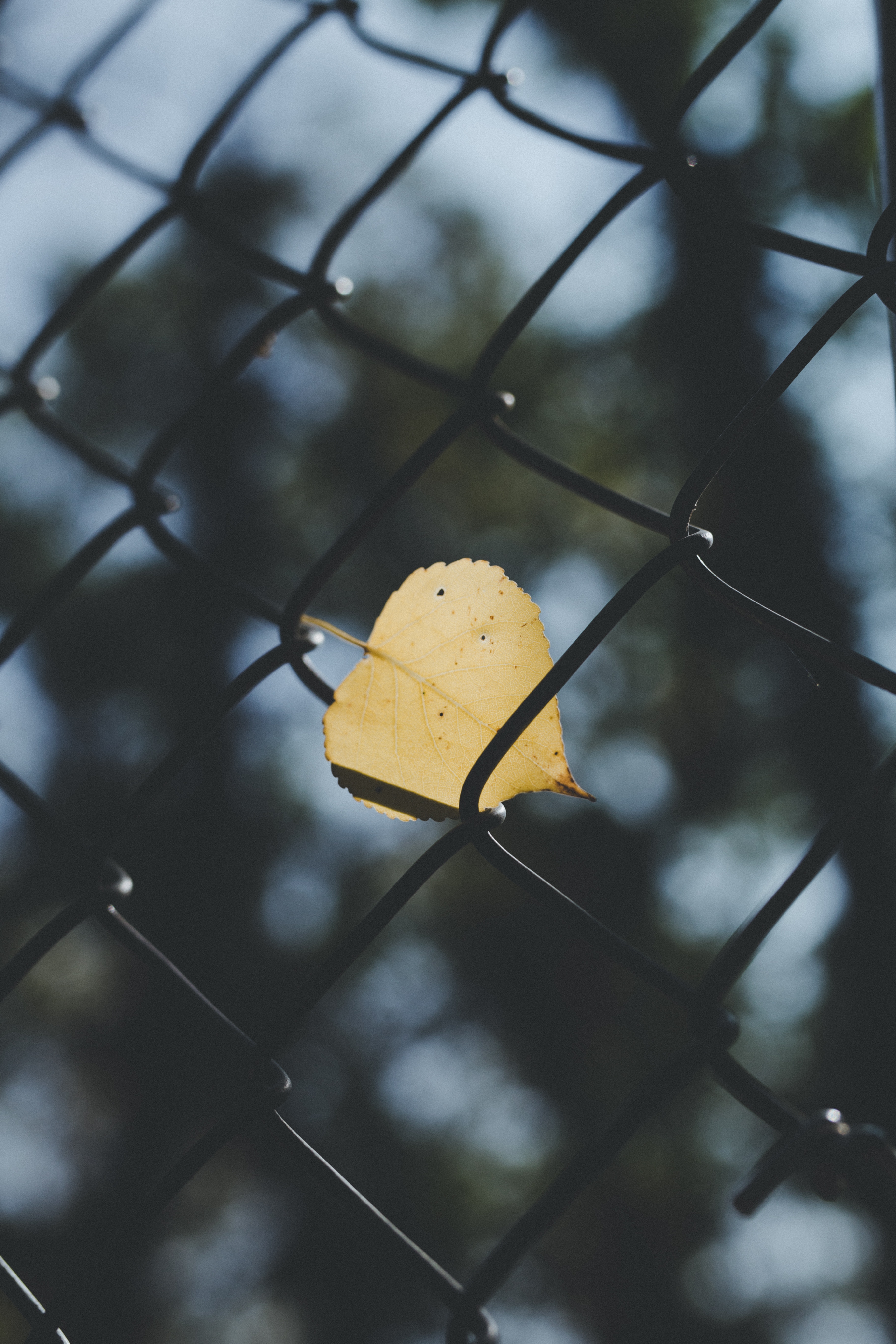 几何先生的个人主页（封面预览） - 主页封面设置 - 站酷设计师几何先生原创素材 - 站酷ZCOOL