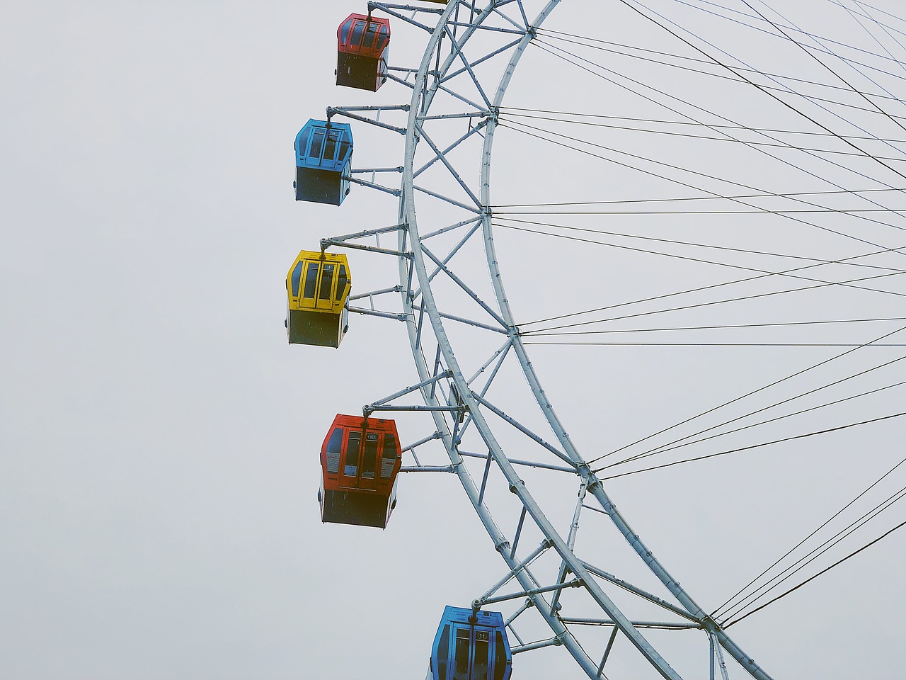 下雨天的野生公园