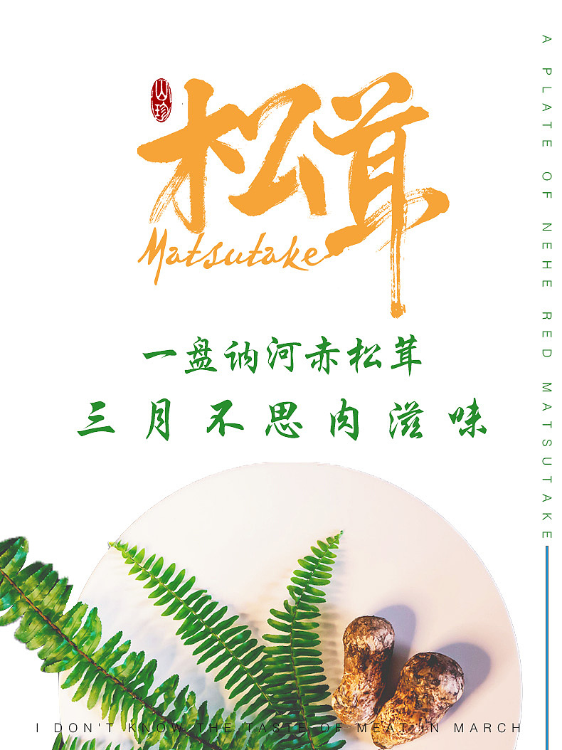 松茸海报图文设计（图ZMjY1MjAzNzAw） - 海报 - 站酷设计师岗桑文化原创素材 - 站酷ZCOOL