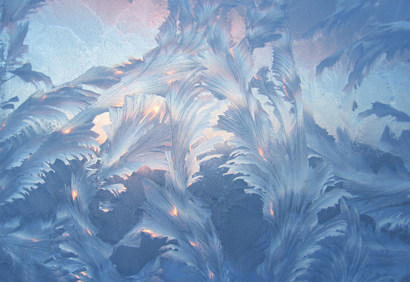 貓9啊的個人主頁（封面預(yù)覽） - 主頁封面設(shè)置 - 站酷設(shè)計(jì)師貓9啊原創(chuàng)素材 - 站酷ZCOOL