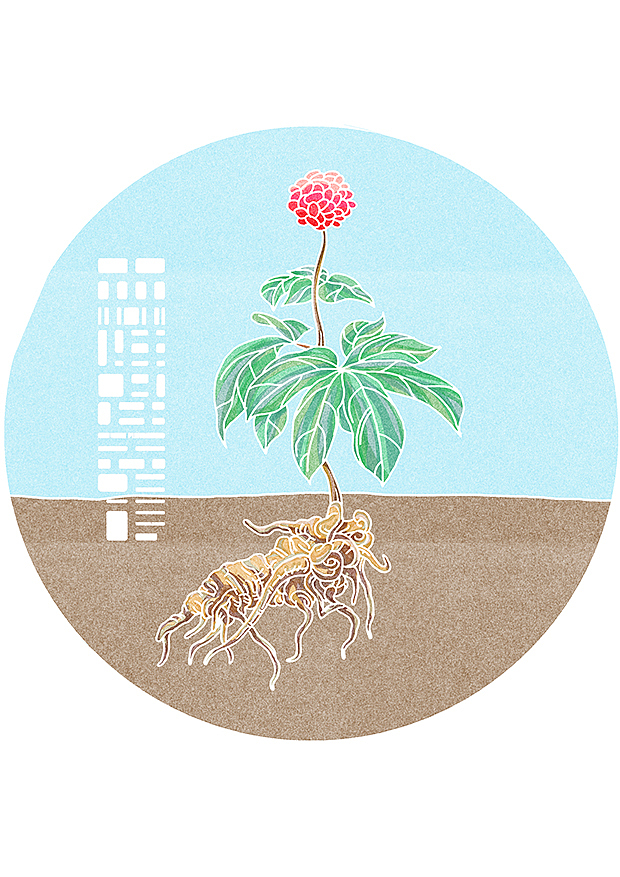 植物与我们的关系充满了秘密式的奇迹（图ZNzQ4OTAzMDg=） - 商业插画 - 站酷设计师森特笑虎原创素材 - 站酷ZCOOL