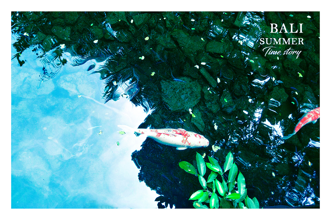 巴厘岛明信片（图ZNzAyNDQzNTI=） - 风光摄影 - 站酷设计师自由的贝塞尔原创素材 - 站酷ZCOOL