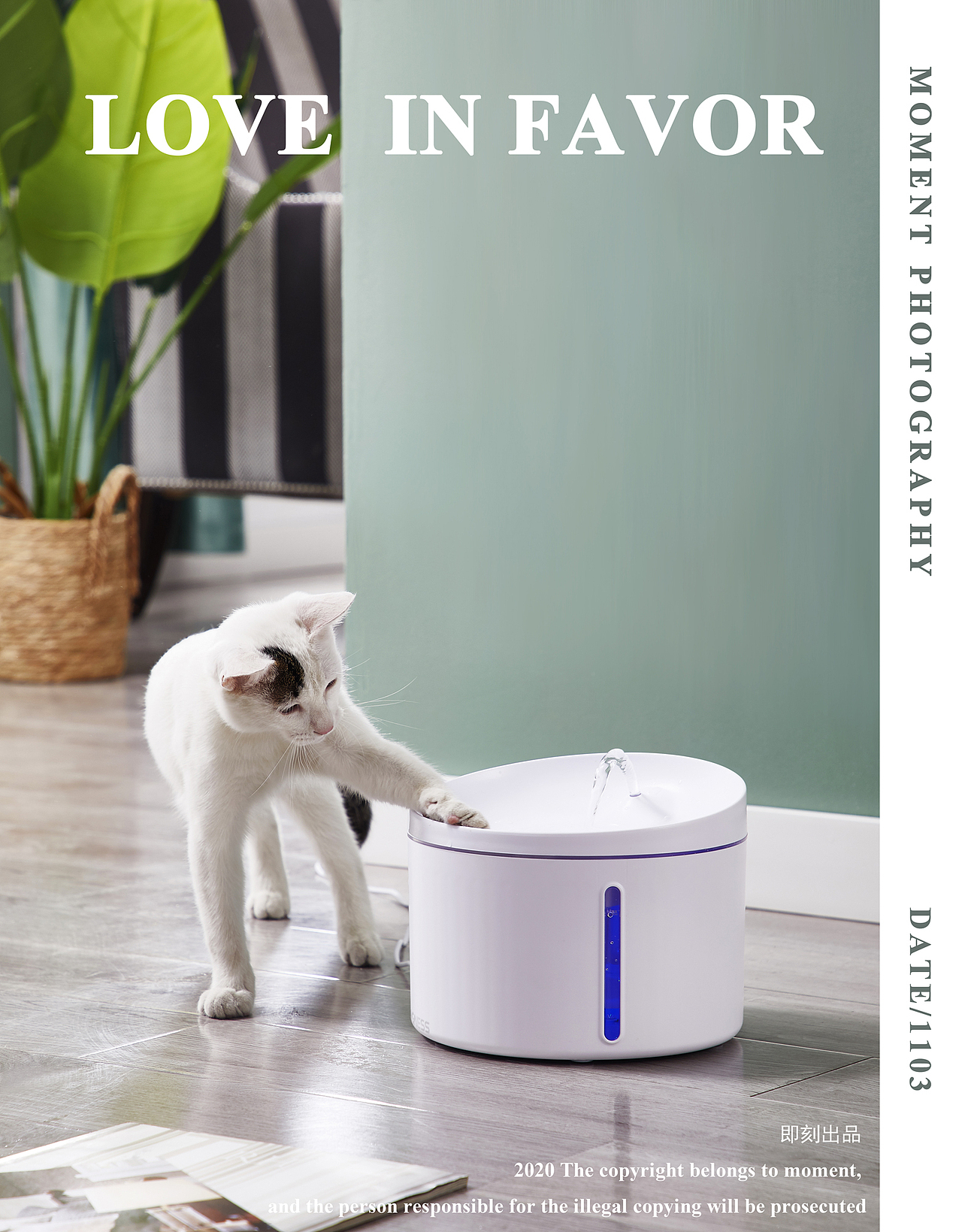 宠物饮水机/宠物周边产品/宠物用品（图ZMjMwODY4NjI0） - 产品摄影 - 站酷设计师东莞即刻摄影广告原创素材 - 站酷ZCOOL