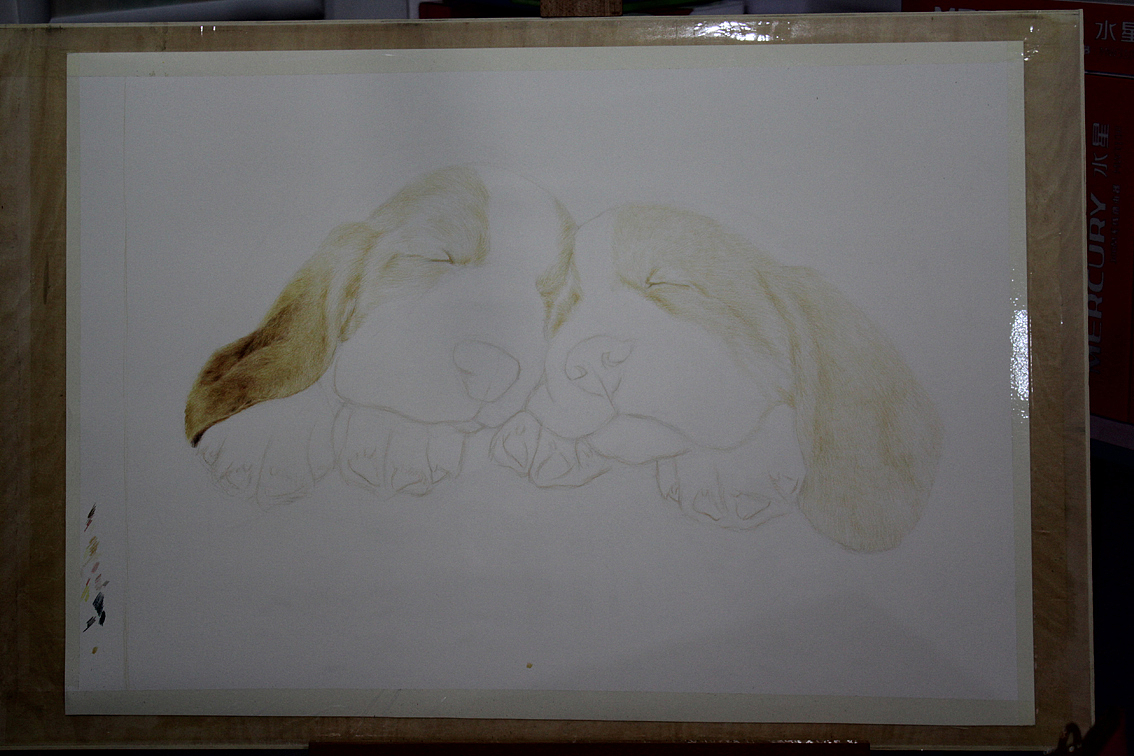 两只小萌狗（图ZMzQ2MTg0MjA=） - 绘画 - 站酷设计师只露尻尾原创素材 - 站酷ZCOOL